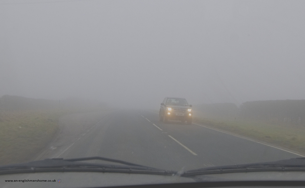 Driving in the Fog. January 2009.