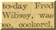 Wibsey Man gets his Goose. 1907