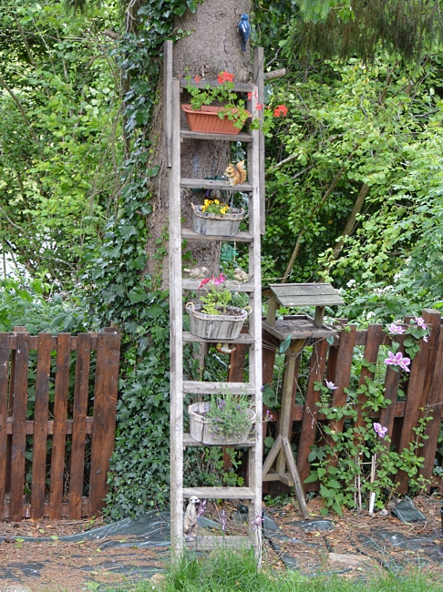 Someone made use of an old Ladder. 2014