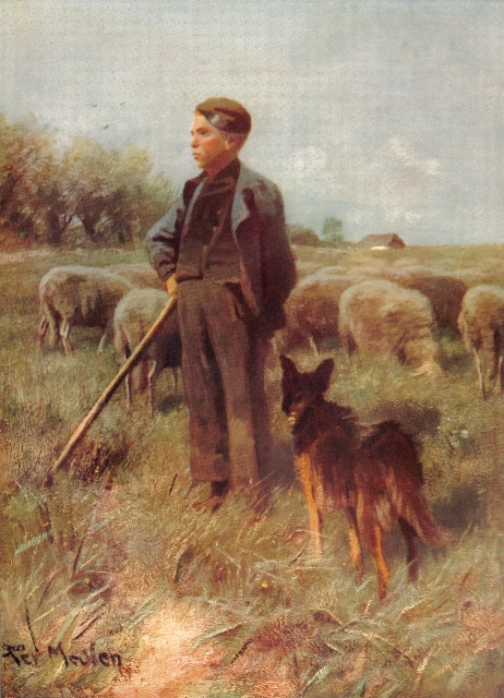 Shepherd.